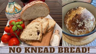 HOW TO MAKE FAST AND EASY NO KNEAD BREAD RECIPE ITALIAN PAGNOTTA  Alice Contesini [upl. by Bullivant]