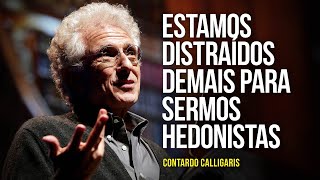 Contardo Calligaris – quotEstamos distraídos demais para sermos hedonistasquot [upl. by Enymsaj765]