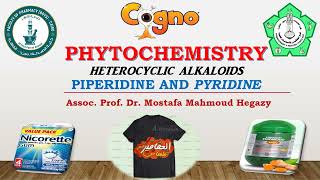 Piperidine and pyridine alkaloids [upl. by Mullins]