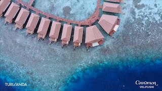 Maldive  Cinnamon Velifushi  Azure  TURISANDA [upl. by Arema]