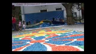 Intervallo RAI Infiorata per il Corpus Domini Pescasseroli 7 06 2015 [upl. by Ib]