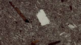 Porphyritic Rhyolite Plane Polars [upl. by Nytsrik645]