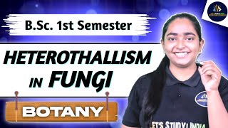 Heterothallism in Fungi  Botany BSc 1st Semester  Heterothallism in Fungi in Hindi  NEP 2020 [upl. by Finbur991]