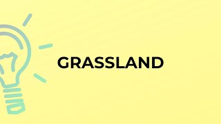 What is the meaning of the word GRASSLAND [upl. by Anayt271]