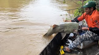 Pescando peces gigantes [upl. by Michon493]