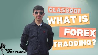 What is Forex Trading Forex Trading for Beginners [upl. by Hermon]