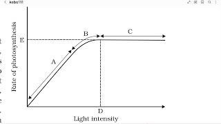 NEW NCERT BIOLOGY 2024  CLASS 11  CHAPTER 11 PHOTOSYNTHESIS IN HIGHER PLANTS  FACTORS  LIGHT [upl. by Prader39]