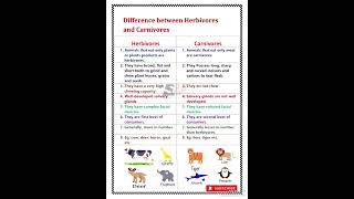 Difference between herbivores and carnivores [upl. by Ayocal876]