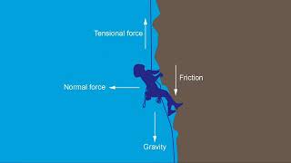 Coplanar Forces  Cambridge International AS amp A Level Physics [upl. by Radek]