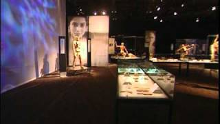 Human Saga Body Worlds [upl. by Marvella607]