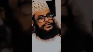 Mawlana deloyar hossain saide new best motivational lecture 2023 [upl. by Ruthy]