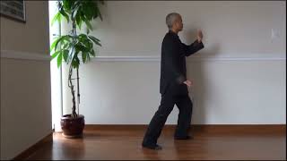 Fengyang Tai Chi Zhuang  Standing Meditation [upl. by Larimor]