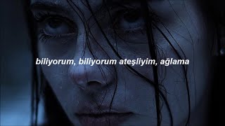 Sickick  Intro Infected Türkçe Çeviri [upl. by Simons]