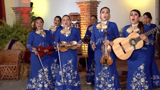 Rapsodia Bohemia a la mexicana en Songie de TV del Lic Mario Sosa Gómez [upl. by Iak554]