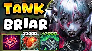 Testing ZWAGS UNKILLABLE TANK BRIAR TOP BUILD OP [upl. by Scotti]