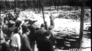 Polska Kronika Filmowa 1945 Nr14avi [upl. by Inttirb33]