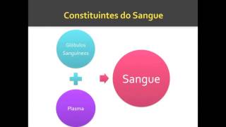 Células Sanguíneas  Histologia Básica Junqueira e Carneiro [upl. by Gehlbach]