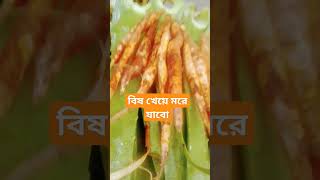 bangla duet gojol banglamusic funny youtube banglasong bestgojol gojolgojol voiceeffe [upl. by Lilithe]