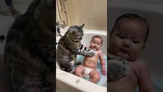 Cat bathes baby [upl. by Inail267]