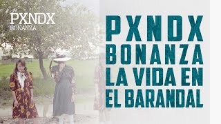 La Vida En El Barandal  PANDA  Bonanza  Con Letra [upl. by Oler]