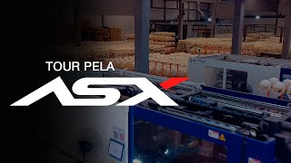 TOUR PELA FÁBRICA DA ASX [upl. by Lewendal]