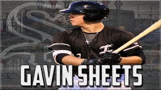 Gavin Sheets Highlights  Chicago White Sox 1B Prospect [upl. by Ace]