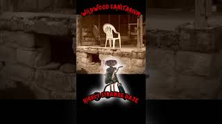 Is WildWood Sanitorium New Yorks Most Haunted Sanitorium wildwoodsanitorium [upl. by Aerdnak]