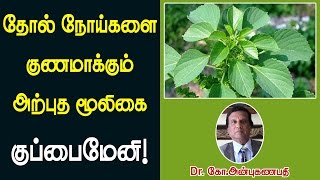 தோல் நோய்களை குணமாக்கும் அற்புத மூலிகை குப்பைமேனி  Kuppaimeni remedy for skin problems [upl. by Anehs643]