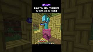 pov you play minecraft with that ONE friend [upl. by Dib]