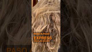 🧡Alisado Células Madre Liss Expert 🧡 [upl. by Eisnyl]