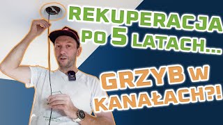 GRZYB W KANAŁACH Rekuperacja po 5 latach [upl. by Rogozen883]