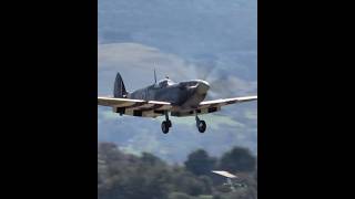 Supermarine Spitfire landing at grass royalairforce spitfire landing avgeek warbirds [upl. by Mihsah733]