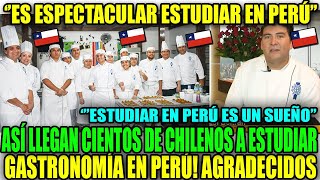 CIENTOS DE CHILENOS LLEGARON A PERÚ PARA ESTUDIAR GASTRONOMÍA Y SER CHEFS RECONOCIDOS [upl. by Doroteya]