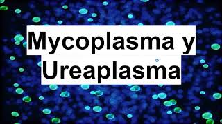 Mycoplasma y ureaplasma  Microbiología Médica [upl. by Jobie380]