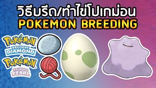 วิธี Breed ไข่ Pokemon สร้างโปเกม่อนสุดเก่ง ใน Pokemon Brilliant Diamond amp Pokemon Shining Pearl [upl. by Boy]