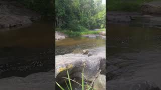 Cachoeira Salto do biguá Miracatu sp [upl. by Coraline636]