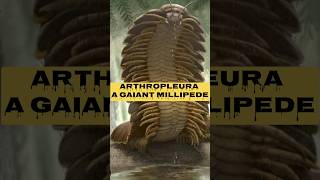 Meet Arthropleura The GIANT Prehistoric Millipede That Ruled Ancient Forestsquot shortsviralfacts [upl. by Bloch]