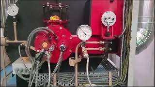 Thermic Fluid Heater in operation [upl. by Yenaled572]