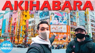 AKIHABARA TOUR  ANIME CITYTECH CITY in TOKYO JAPAN [upl. by Moorish86]