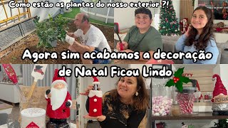 Como estão as nossas plantas no exterior  Nosso Lar agora sim ficou lindo com a decoração de Natal [upl. by Pitzer]