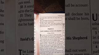 Psalm 23 kjv gospelmusic [upl. by Onej]