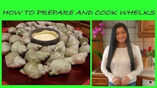 How to Prepare and Cook Whelks  Sea Snails  How to Clean and Cook Sea Snails  Cooking Sea Snails [upl. by Nsaj]