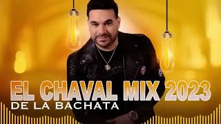 BACHATA PARA BEBER  elchavaldelabachata djadoni djviral zacariasferreira bachata nomeentendio [upl. by Nhguavahs]