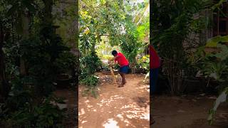 Left hand Carrom bowling 😱😱 shorts cricket cricketlover fyp [upl. by Aneehsar]