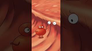 nosebleed536animation funny cartoon [upl. by Azilem]