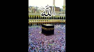 kaba macca islamic quran islamicvideo islam ytshorts Youtubeshorts [upl. by Joyann]