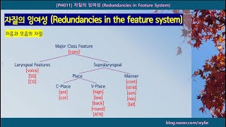 PH011 자질의 잉여성 redundancies in the feature system [upl. by Rebekah456]