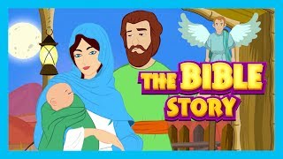 The Bible Story  Stories of Jesus  Bible and Other Story Collection For Kids [upl. by Oileduab593]