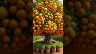 The best way to grow oranges 🍊 shorts survivalskills outdoors oraorange oración [upl. by Laraine]