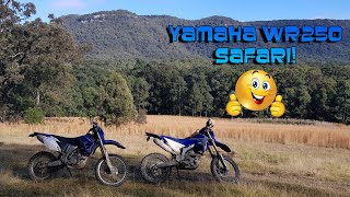 YAMAHA WR250 SAFARI Yamaha WR250R WR250F Killingworth NSW Australia Sugarloaf state forest [upl. by Repinuj864]